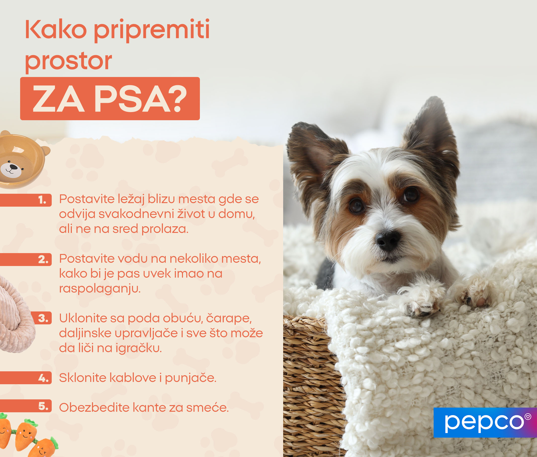 Kako pripremiti prostor za psa? 